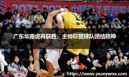广东华南虎再获胜，主帅称赞球队团结精神