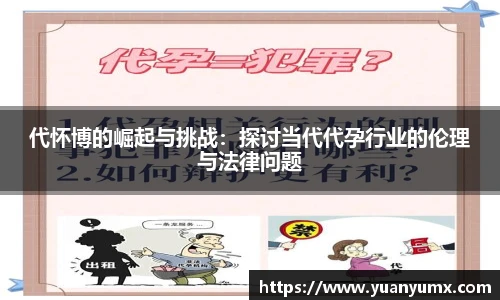 代怀博的崛起与挑战：探讨当代代孕行业的伦理与法律问题